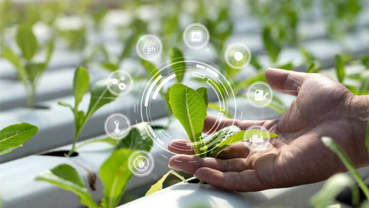trend 2025, agricoltura futuro
